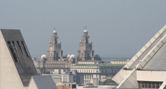 View from the Chadwick Tower