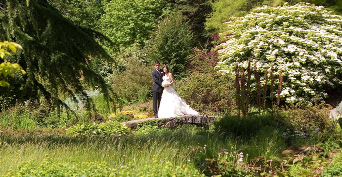 A bride and groom standing in the gardens at Ness Botanic Gardens.