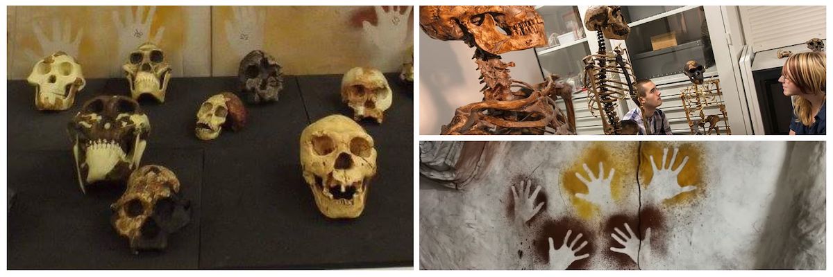 Human skulls, handprints and skeletons