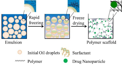 Schematic representation of emulsion freeze-drying method to form a porous polymer scaffold with integrated drug nanoparticles