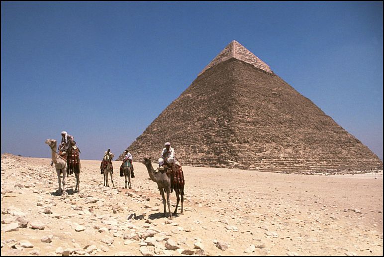 مصر ام الدنيا 01-26CD34-pyr-camels