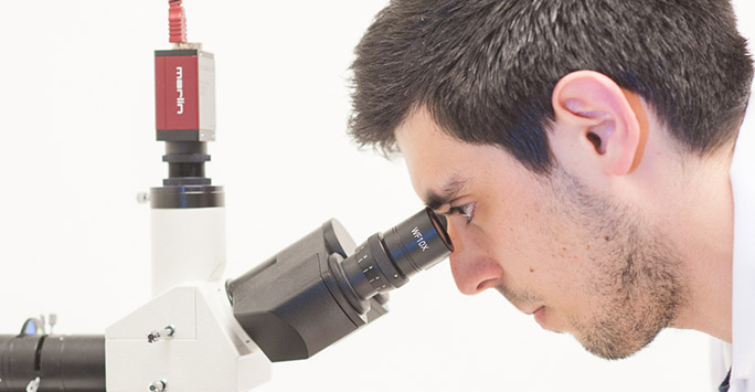 Postgraduate student using a microscope